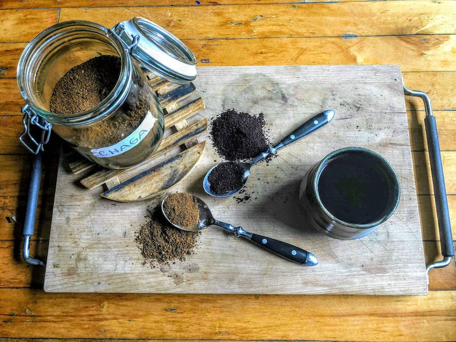 Chaga Pilz Pulver in einem Glas auf einem Tisch, umgeben von einer natürlichen und ruhigen Umgebung, unterstreicht die organische Qualität und Reinheit des Produkts.