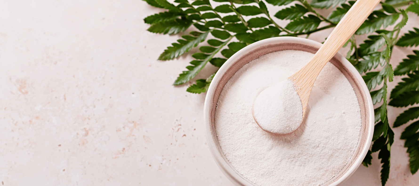 Kollagen Collagen Pulver kaufen bei Rewake Kollagen in einer Schale mit einer Pflanze daneben und hellem Hintergrund