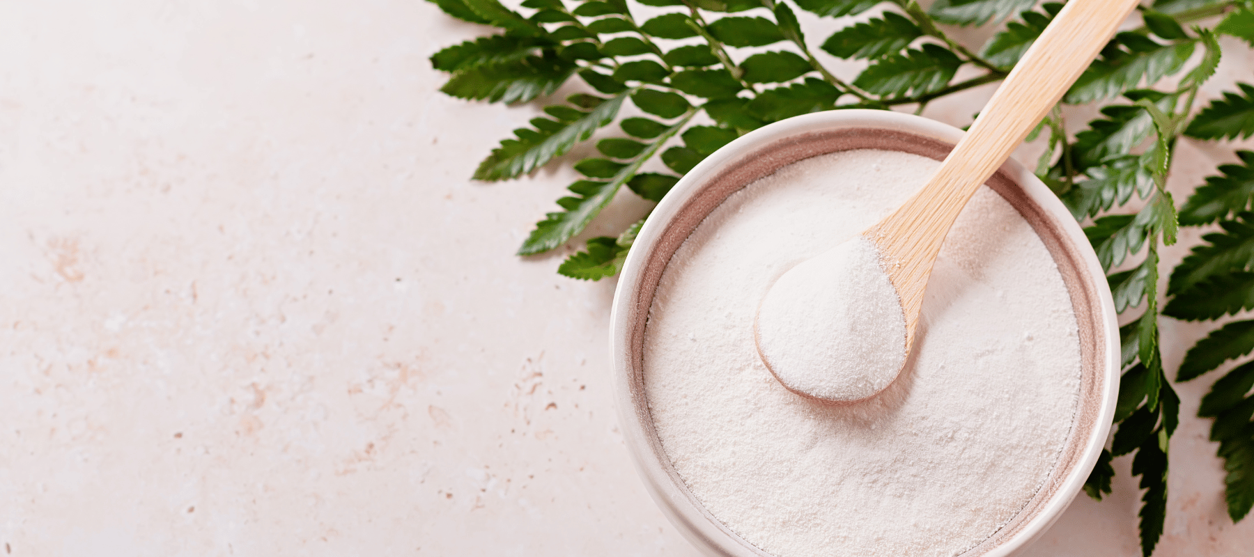 Kollagen Collagen Pulver kaufen bei Rewake Kollagen in einer Schale mit einer Pflanze daneben und hellem Hintergrund