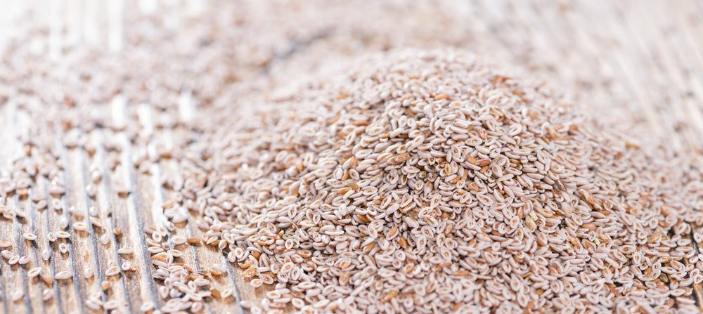 Natürliche Unterstützung für eine gesunde Verdauung: Die Vorteile von Flohsamenschalenpulver