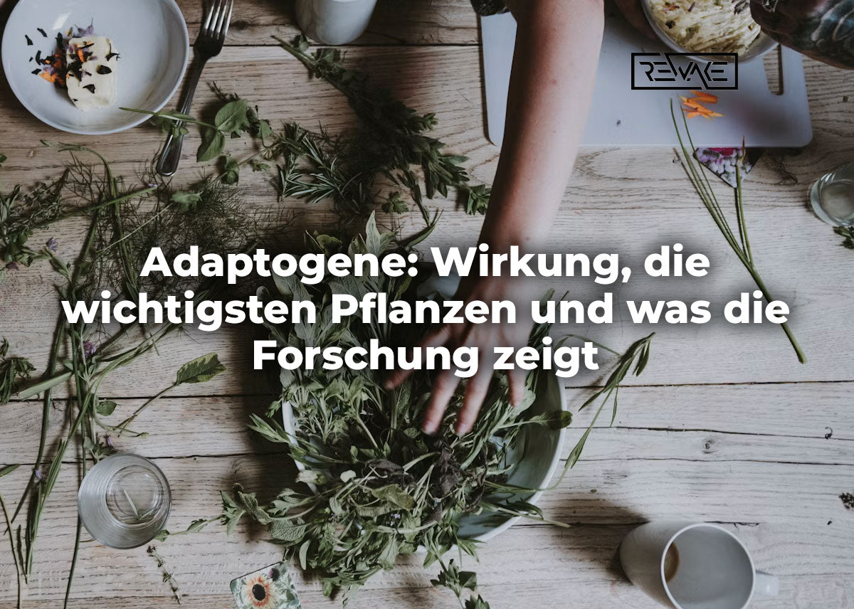 Verschiedene Adaptogene wie Ashwagandha-Wurzel, Rhodiola, Ginseng und schwarze Maca auf hellem Untergrund – natürliche Pflanzen zur Unterstützung bei Stress und für mehr Energie