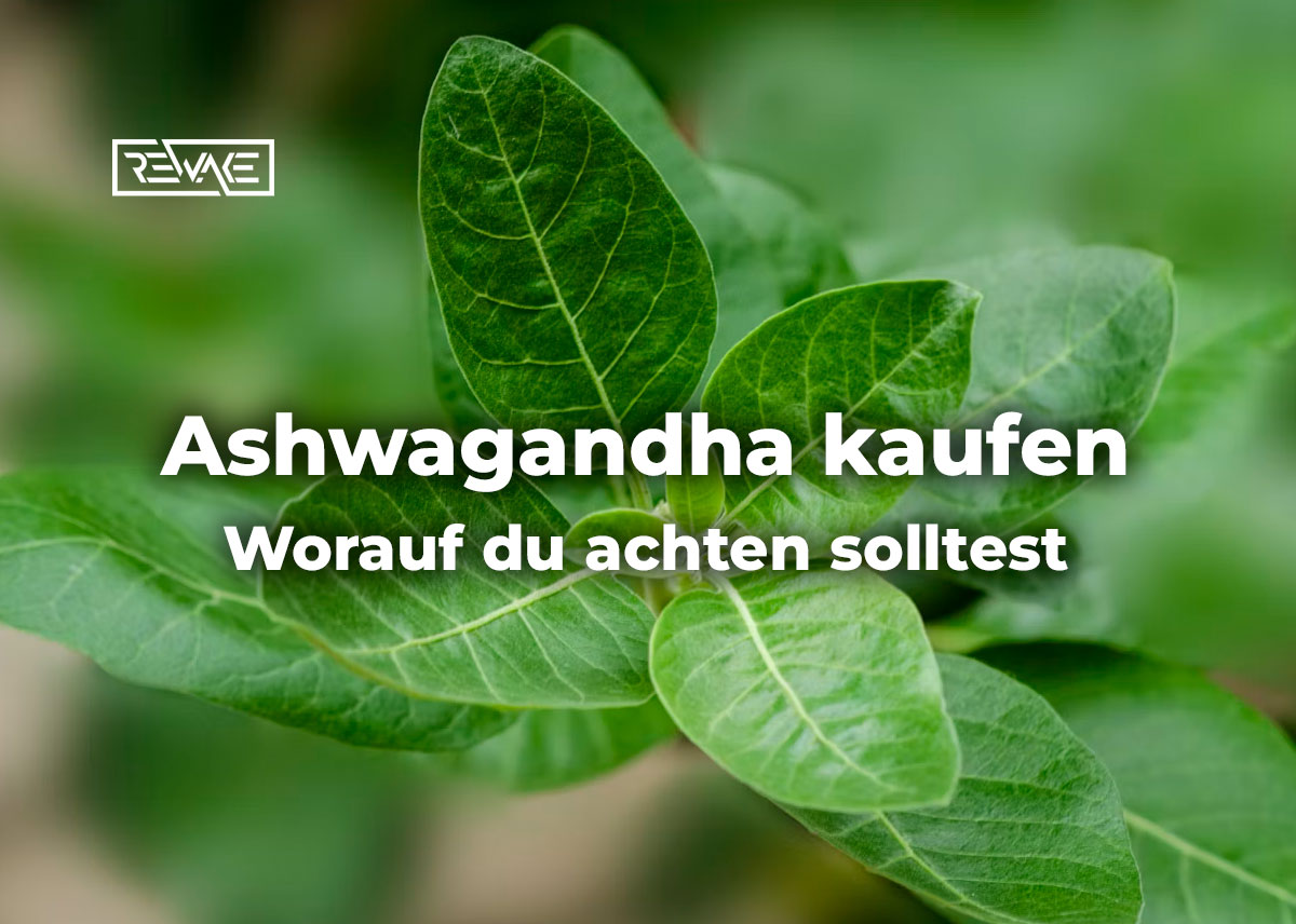 Person prüft die Zutatenliste auf der Rückseite einer Supplement-Verpackung, Symbolbild für die bewusste Kaufentscheidung bei Ashwagandha