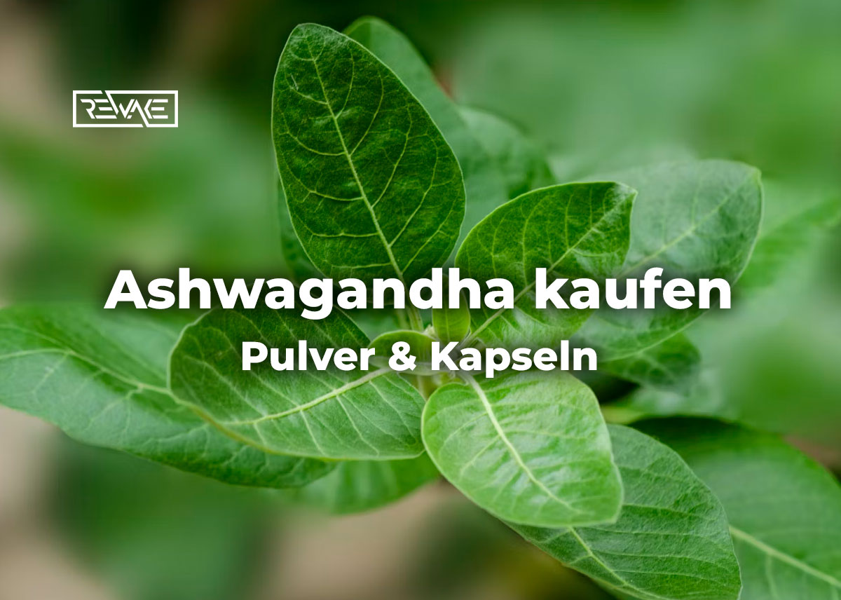 Ashwagandha-Pulver in einer Schale neben Kapseln auf hellem Untergrund, Symbolbild für den Vergleich der Darreichungsformen