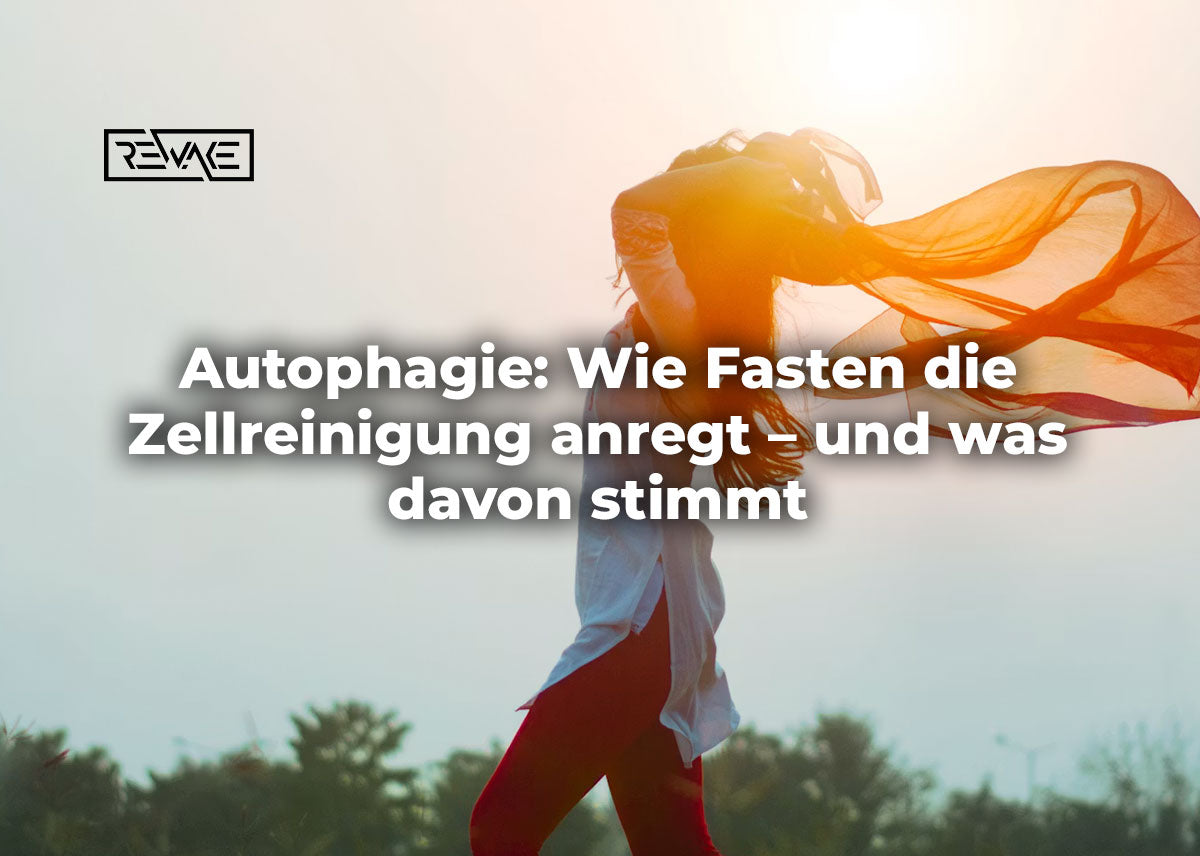 Leerer Teller und Uhr auf hellem Tisch als Symbol für Intervallfasten – Autophagie und Zellreinigung durch längere Essenspausen anregen
