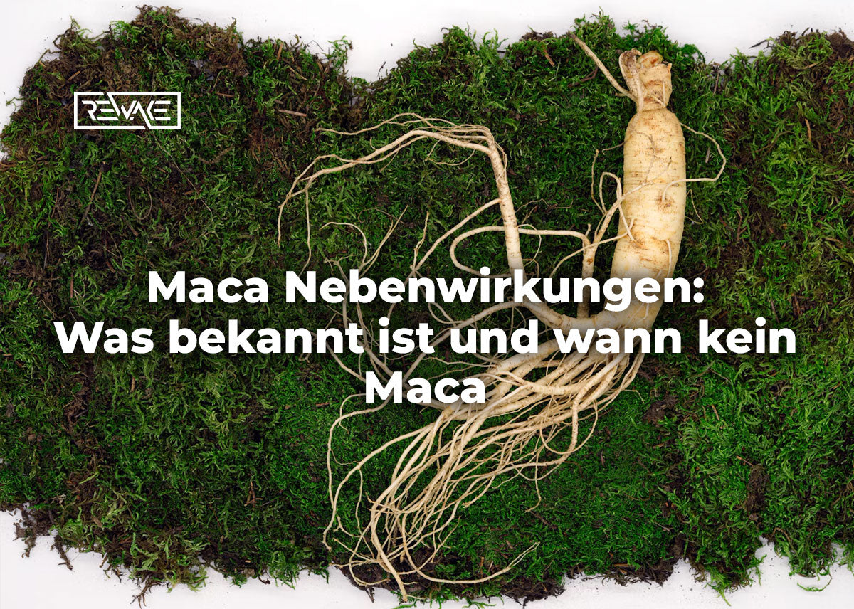 Maca-Kapseln und eine Schale Maca-Pulver neben einem aufgeschlagenen Notizbuch auf einem hellen Tisch, Symbolbild für Nebenwirkungen und Sicherheit von Maca