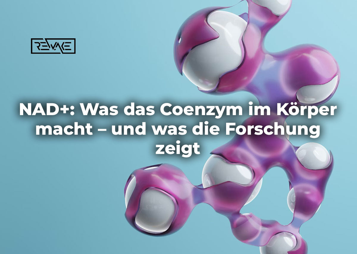 Wissenschaftliche Darstellung des Coenzyms NAD+ und der Mitochondrien in einer Zelle – Rolle im Energiestoffwechsel und Zusammenhang mit Vorstufen wie NMN