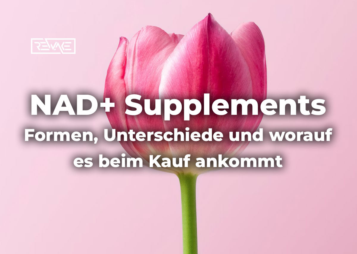 Verschiedene Darreichungsformen von NAD+ Supplements, Pulver im lichtgeschützten Glas und Kapseln nebeneinander auf hellem Untergrund