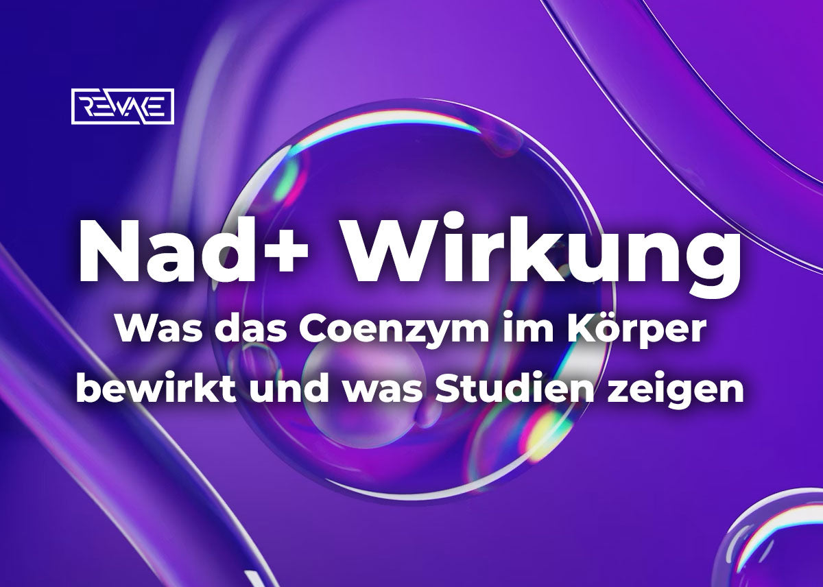 Schematische Darstellung einer Zelle mit Mitochondrien und Molekülstrukturen, Symbolbild für die Wirkung des Coenzyms NAD+ im Energiestoffwechsel