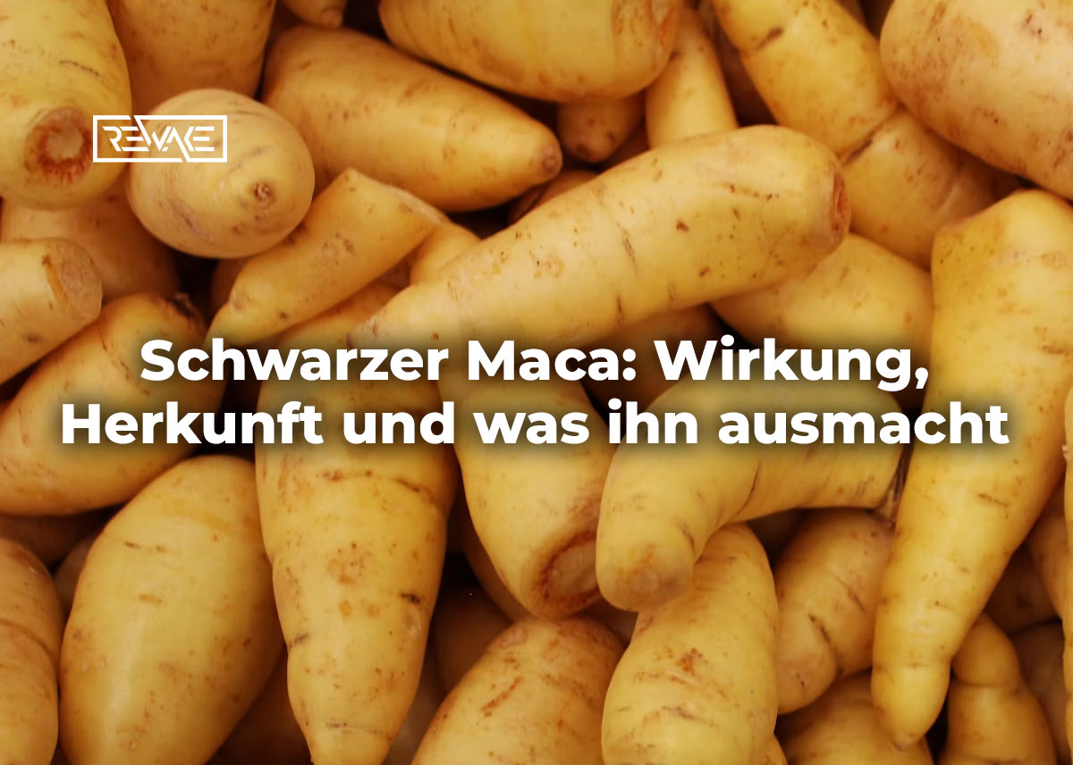 Dunkle Maca-Knollen mit schwarzvioletter Schale auf hellem Untergrund, Symbolbild für die seltenste Maca-Sorte aus dem peruanischen Hochland