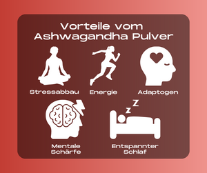 Ashwagandha Pulver von Rewake - Unterstützt Stressabbau, fördert Entspannung und verbessert die Schlafqualität