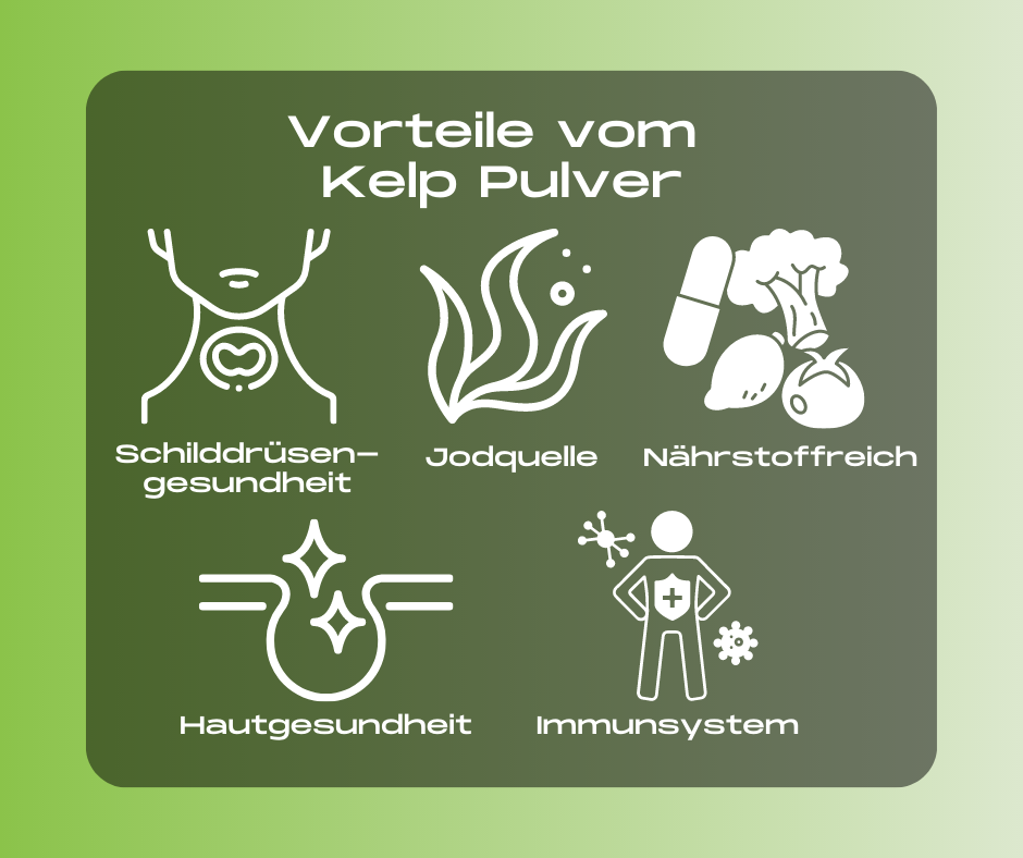 Kelp Pulver von Rewake - Reich an Jod für eine gesunde Schilddrüsenfunktion, unterstützt das Immunsystem und fördert die allgemeine Gesundheit