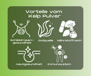 Kelp Pulver von Rewake - Reich an Jod für eine gesunde Schilddrüsenfunktion, unterstützt das Immunsystem und fördert die allgemeine Gesundheit