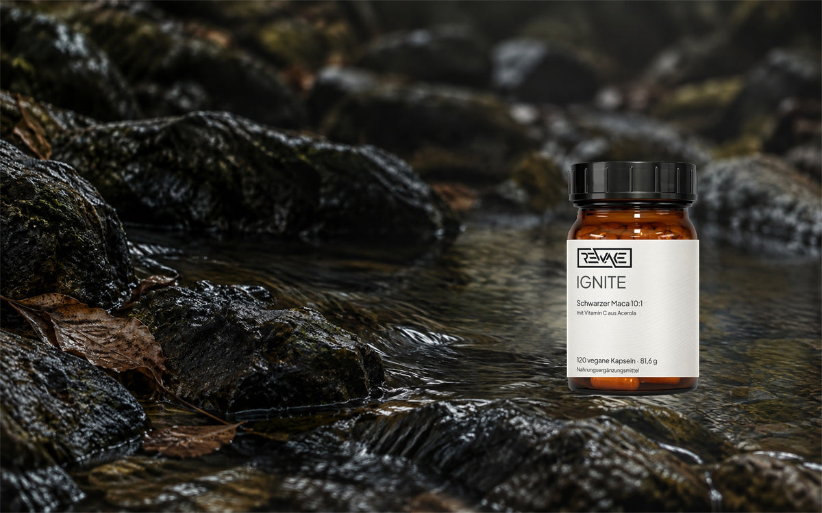 Rewake Ignite Dose auf nassem Stein am Wasser
