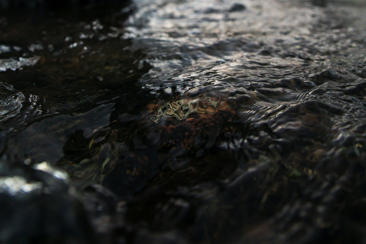Dunkle Steine im Wasser